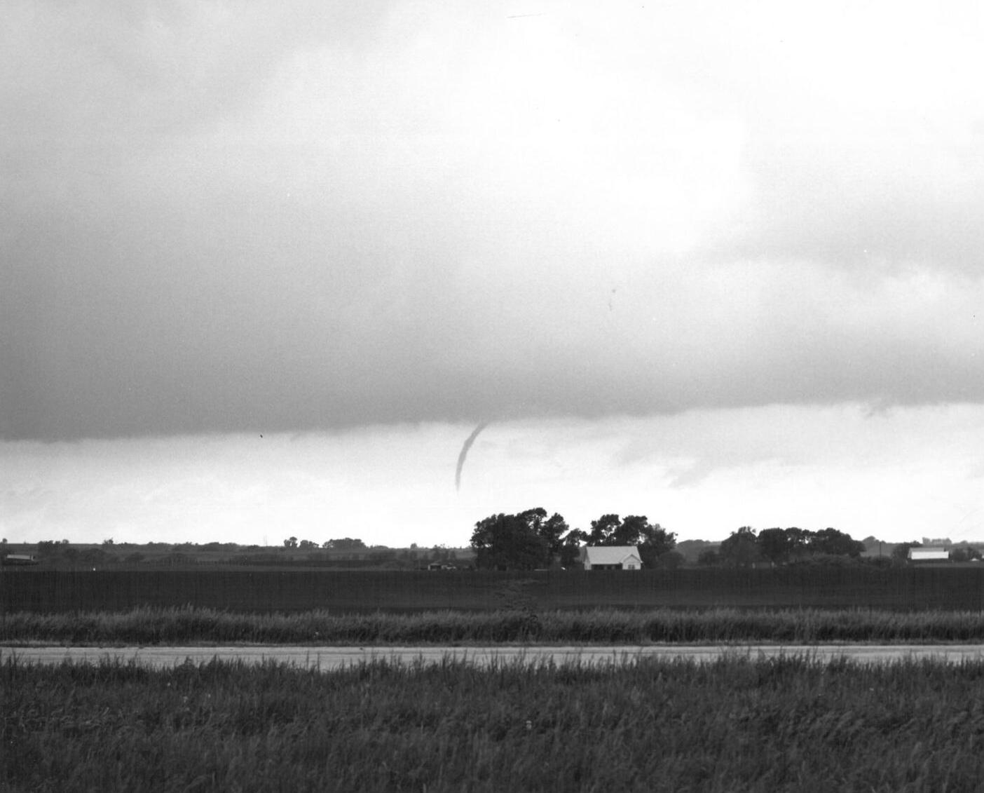 It's a Twister!